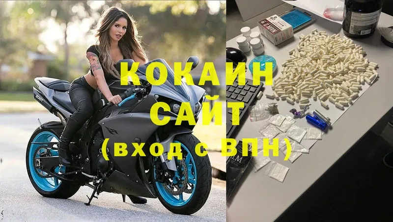 купить закладку  Глазов  Cocaine Эквадор 